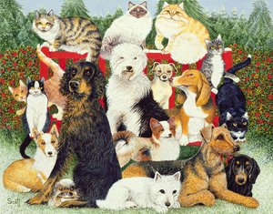 Weihnachtsfrieden