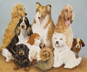 Hundeessen