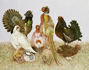 Wildvögel