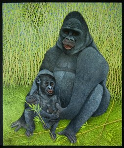 Gorillas