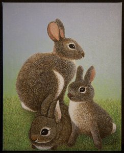 Kaninchenfamilie, 2016