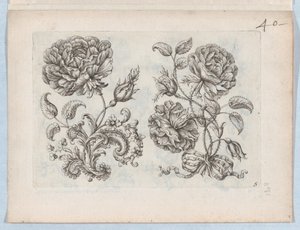 Serie kleiner Blumenmotive, Platte 5, ca. 1670-85