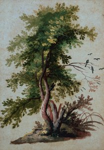 Ein Baum mit zwei Vögeln auf einem Ast