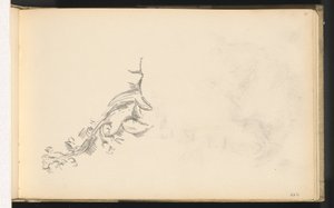Blühender Zweig von Paul Cézanne