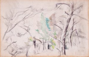 Bäume [recto]; Encagnane mit dem Pilon du Roi [verso] von Paul Cézanne