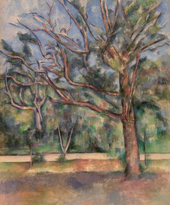 Bäume und Straße von Paul Cézanne