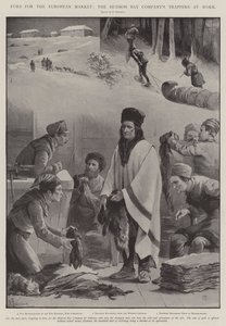 Felle für den europäischen Markt, die Fallensteller der Hudson Bay Company bei der Arbeit