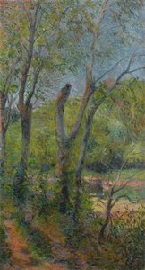 Les Saules von Paul Gauguin