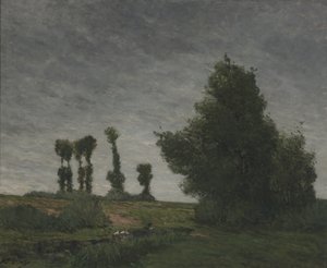 Landschaft mit Pappeln