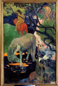 Das weiße Pferd von Paul Gauguin