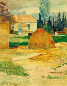 Mas d’Arles