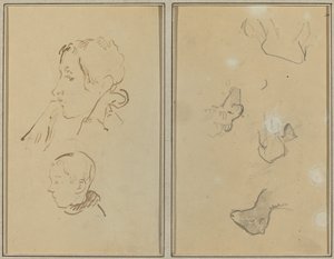 Zwei Köpfe; Studien von Schafen [recto]