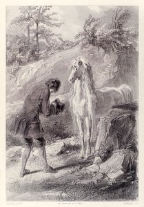 Das Pferd blieb stehen und starrte mich an, aus der französischen Ausgabe von Gullivers Reisen von Jonathan Swift
