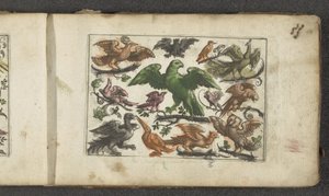 Raubvogel, elf andere Vögel und eine Fledermaus