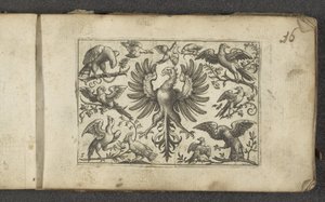 Raubvogel und elf andere Vögel von Paul Göttich