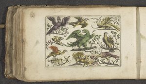 Raubvogel und zehn andere Vögel von Paul Göttich