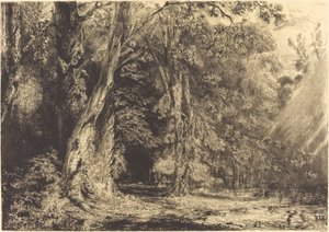 Überschwemmung im Wald der Île Séguin von Paul Huet