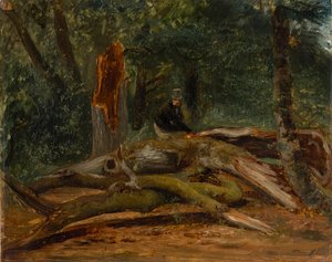 Im Wald von Villers-Cotterêts