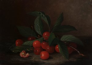 Stillleben mit Kirschen