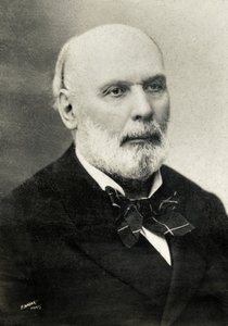 Porträt von Jules Grevy