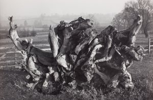 Laokoon, Carswall