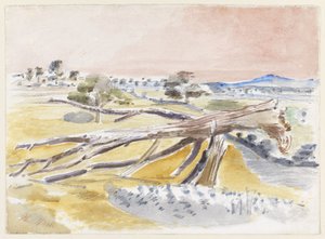 Monsterfeld, Studie II von Paul Nash