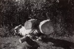 Gefundenes Objekt von Paul Nash