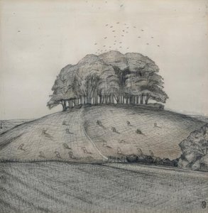 Der Wald auf dem Hügel