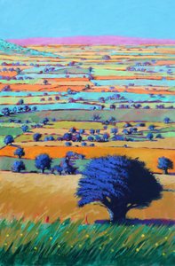 Cotswold Way, 2021 von Paul Powis