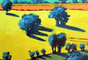 Cotswold Way Nahaufnahme 3 von Paul Powis