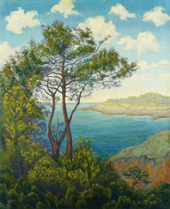 Meeresufer in der Bretagne, ca. 1898 von Paul Elie Ranson
