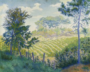 Weinberge unter den Kiefern; Les Vignobles sous les Pins, ca. 1898 von Paul Elie Ranson