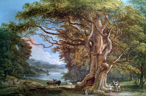 Ein alter Buchenbaum, 1794