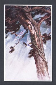 Sie hat dich eingesperrt, mit Hilfe ihrer mächtigsten Diener und in ihrer unversöhnlichsten Wut, in eine gespaltene Kiefer, Illustration aus Der Sturm, 1908 von Paul Vincent Woodroffe