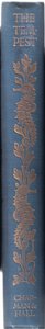 Rückendesign, Illustration aus Der Sturm, 1908 von Paul Vincent Woodroffe