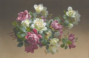 Blumen: Rosen