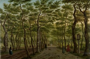 Der Herepad im Haagse Bos