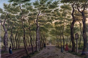 Der Herepad im Haagse Bos