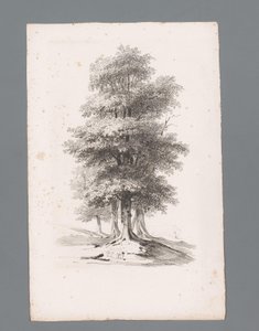 Gruppe mit fünf Bäumen (Anfänge der Landschaften, Serie) von Paulus Lauters