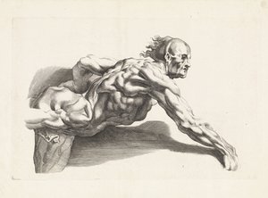 Anatomische Studie eines sich vorbeugenden Mannes