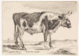 Gevlekte os von Paulus Potter (rejected attribution)