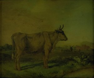 Eine Kuh von Paulus Potter
