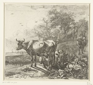 Der Viehhirte von Paulus Potter