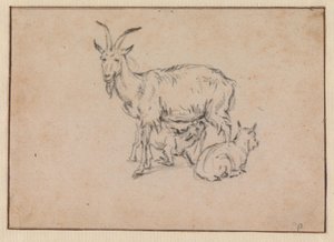 Eine Ziege mit zwei Zicklein von Paulus Potter