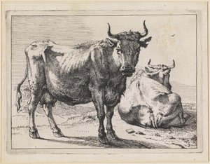 Eine stehende und eine liegende Kuh von Paulus Potter