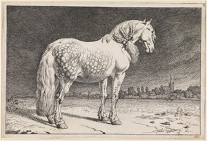 Das friesische Pferd von Paulus Potter