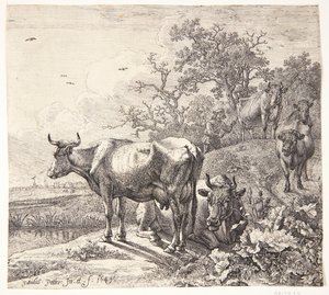 Kohyrden von Paulus Potter