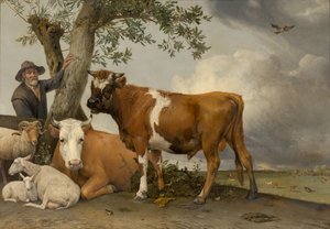 Der Stier von Paulus Potter