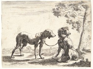 Zwei zusammengebundene Hunde von Paulus van Hillegaert (II)