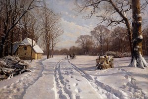 Schlittenfahrt durch eine Winterlandschaft